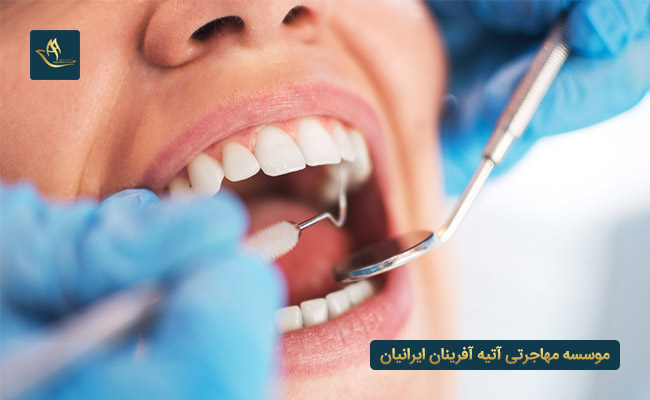 معادل سازی مدارک دندانپزشکی و داروسازی در ترکیه 